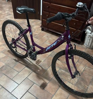 Bicicleta Morada ÖTTE