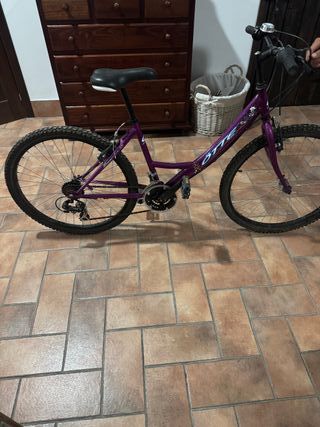 Bicicleta Morada ÖTTE