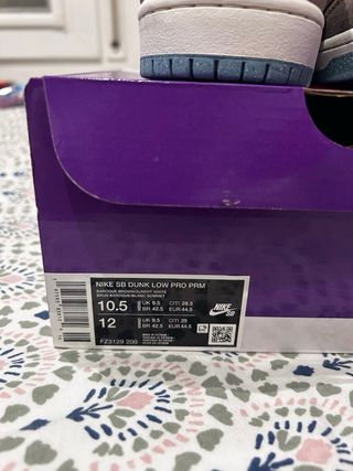 Nike Dunk Low SB Big Money