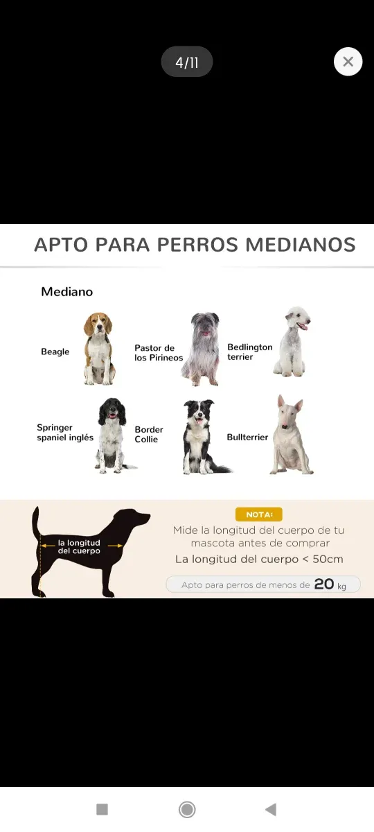 Cama elevada para mascotas