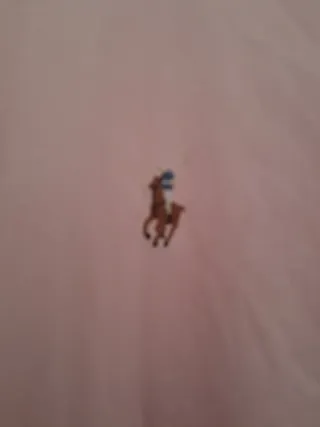 Camisa Ralph Lauren Rosa