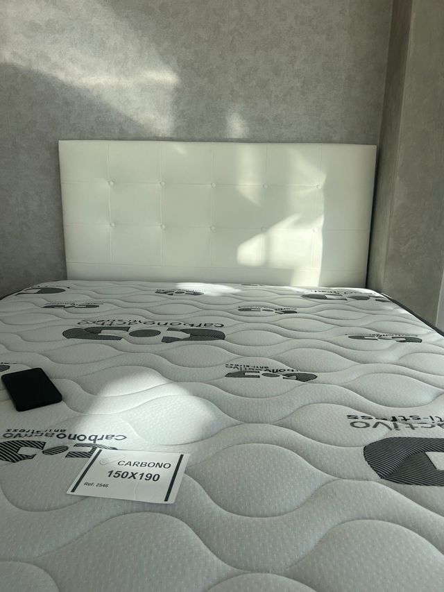 canapés canapés canapés canapés canapés canapés