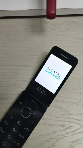 Telefono Alcatel 20-12G Nero con Cover