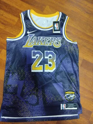Camiseta Lakers Lebron James Special Series 2025-2