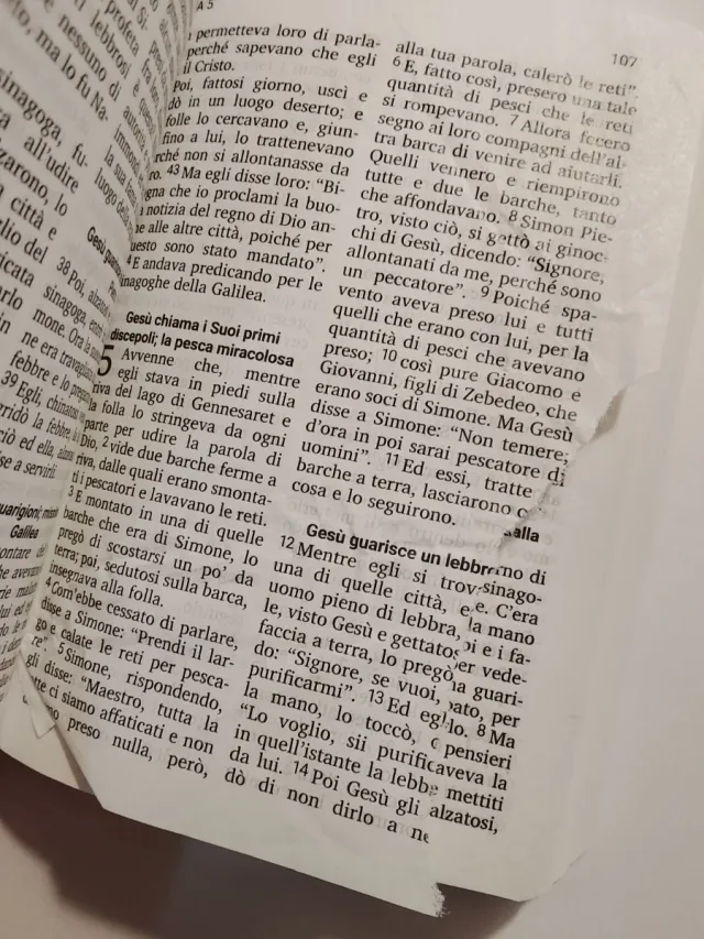 Regalo piccola bibbia Nuovo Testamento