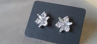 Pendientes Plata con sello de Garantía