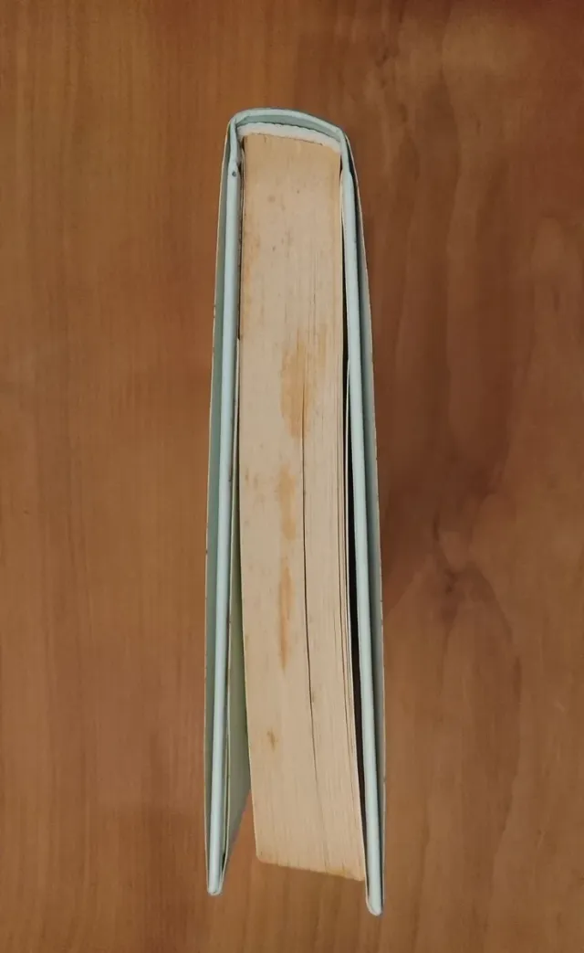 Lisa Grunwald, Felicità Per Principianti