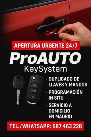 Servicio de cerrajería del automóvil