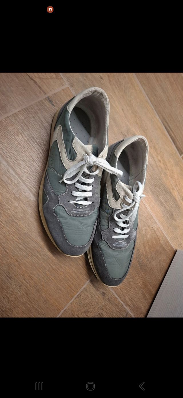 Scarpe Igi&Co Grigio/Verde Taglia 42