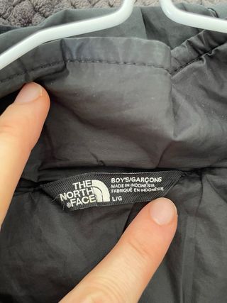 Chaqueta de invierno The North Face Negra y Gris