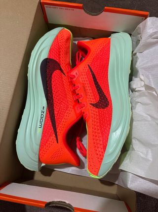 Nike Pegasus Plus Nuevas