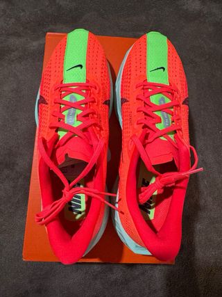 Nike Pegasus Plus Nuevas