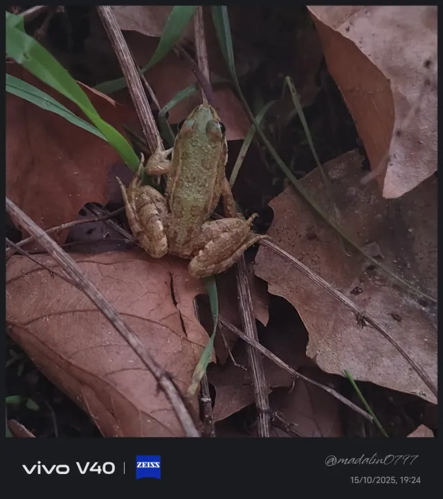 Acompañamiento emocional y personal.
