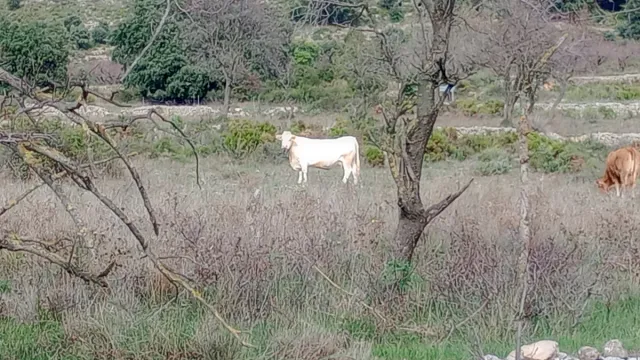 Acompañamiento emocional y personal.