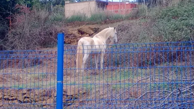 Acompañamiento emocional y personal.