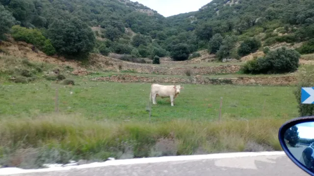 Acompañamiento emocional y personal.