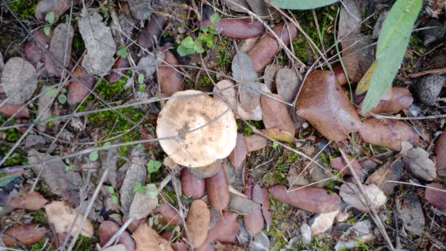 Acompañamiento emocional y personal.