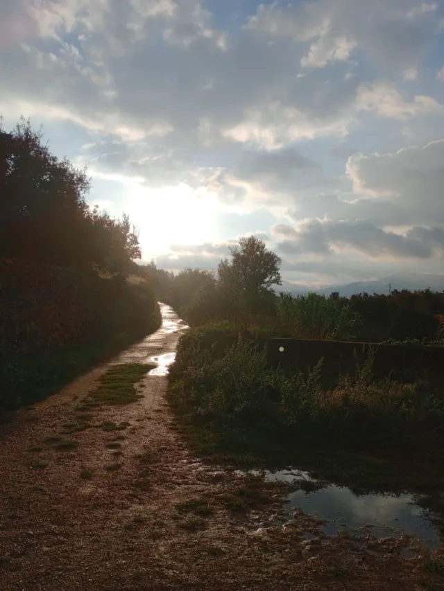 Acompañamiento emocional y personal.