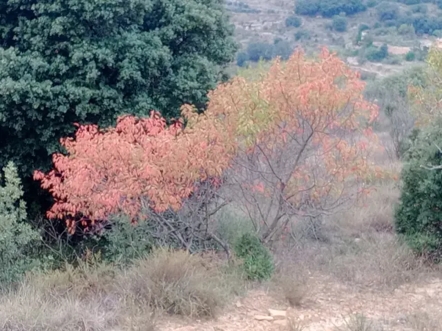 Acompañamiento emocional y personal.