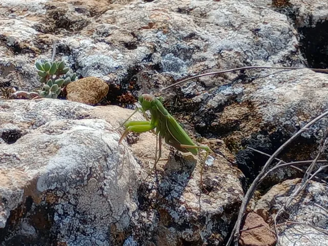Acompañamiento emocional y personal.