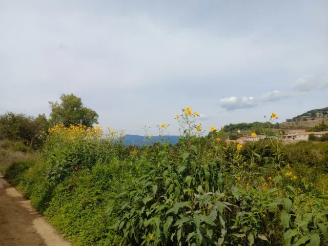 Acompañamiento emocional y personal.