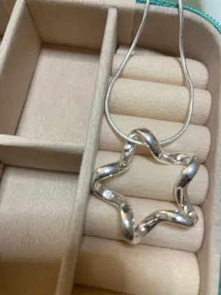 Colgante de Plata más joyero