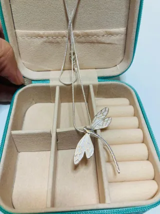 Colgante de Plata más joyero