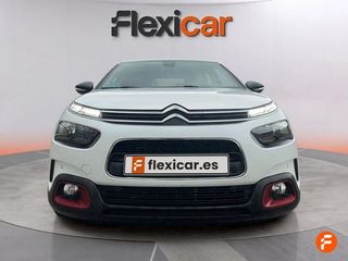 Citroën C4 Cactus PureTech 96kW (130CV) S&S Shine