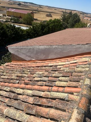 reformas y construcción M-J