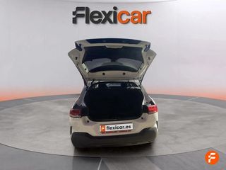 Citroën C4 Cactus BlueHDi 100 S&S Feel