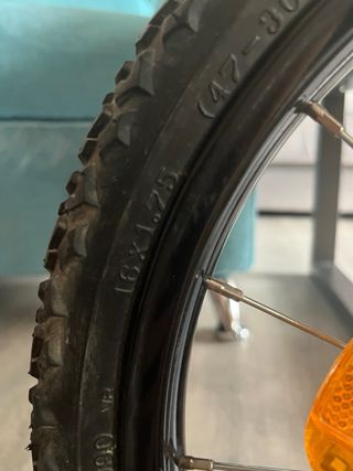 Bicicleta Biocycle Verde