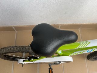 Bicicleta Biocycle Verde