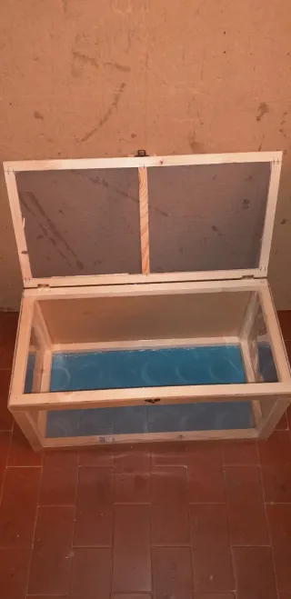 Terrario teca rettili insetti