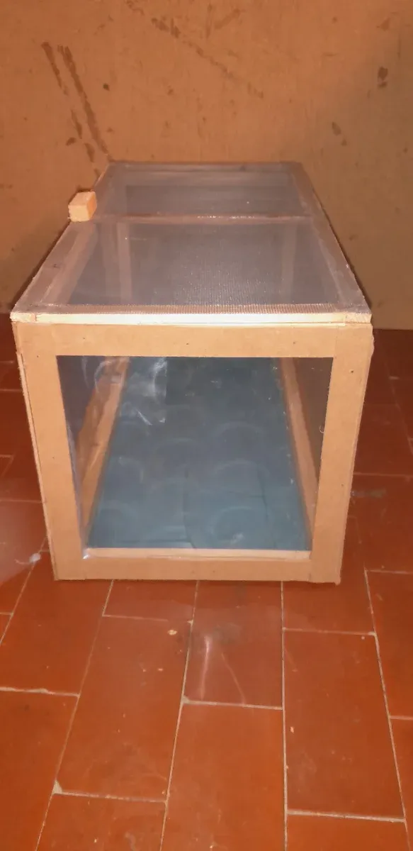 Terrario teca rettili insetti