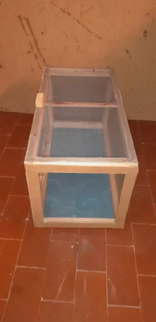 Terrario teca rettili insetti