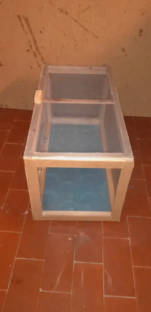 Terrario teca rettili insetti