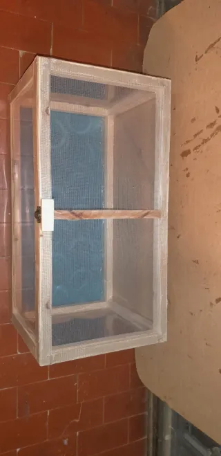 Terrario teca rettili insetti