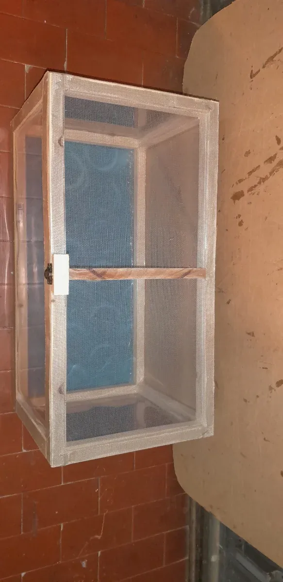 Terrario teca rettili insetti