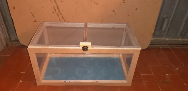 Terrario teca rettili insetti