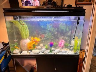 Acuario completo con accesorios