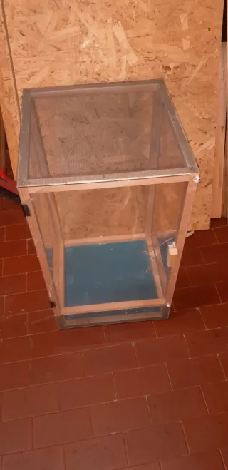 Teca terrario insetti gechi camaleonti