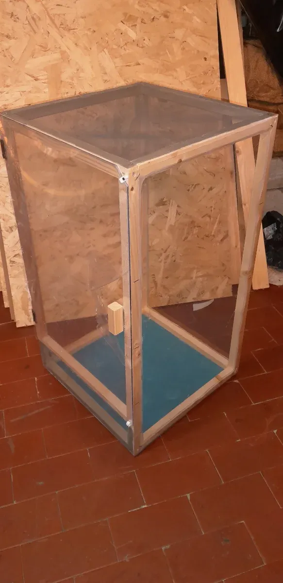 Teca terrario insetti gechi camaleonti