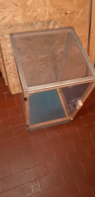 Teca terrario insetti gechi camaleonti