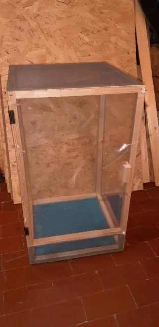 Teca terrario insetti gechi camaleonti