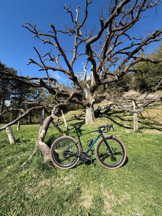 GIANT REVOLT ULTEGRA DI2 GRAVEL
