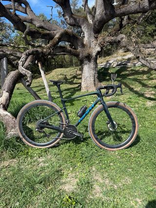 GIANT REVOLT ULTEGRA DI2 GRAVEL