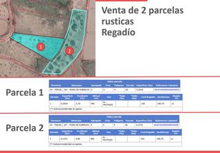 2 Parcelas Rústicas Regadío