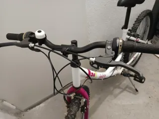 Bicicleta infantil Denbike 24