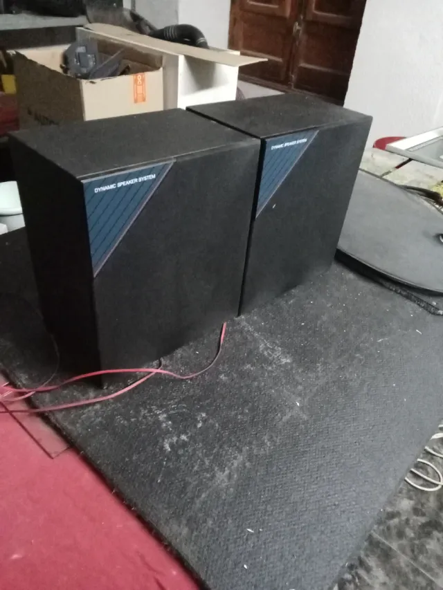 Altavoces Dinámicos Negros