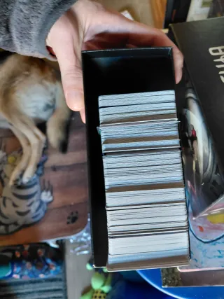 Lote Cartas One Piece